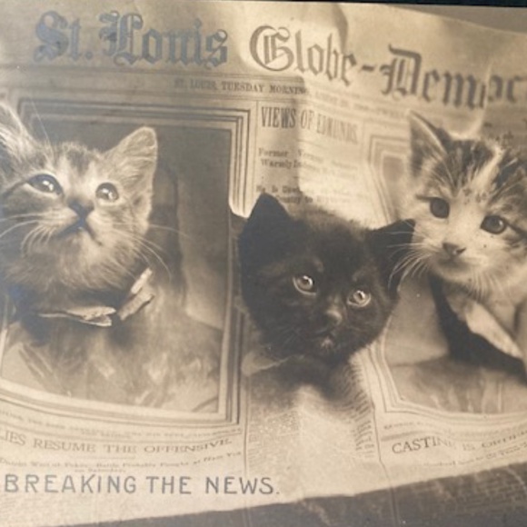 ~Welcome to my Closet~ - Picture 2 of 15